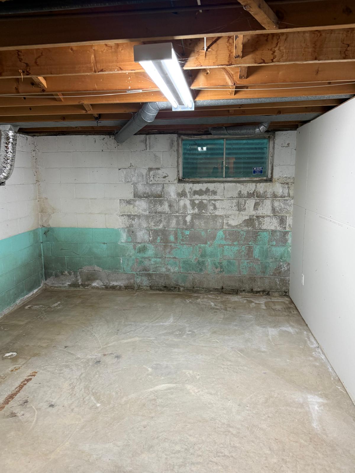 basement Mold removal - before (toronto)