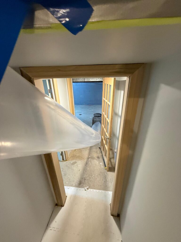 During The Removal Process During Mold removal - during (toronto)