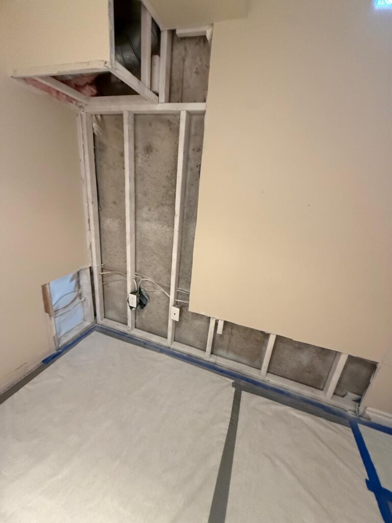 Exterior Water damage causing mold - after photo