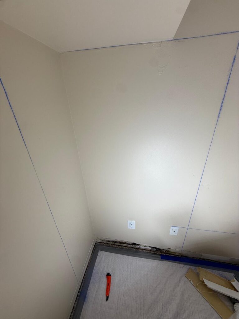   Exterior Water damage causing mold - before (toronto)