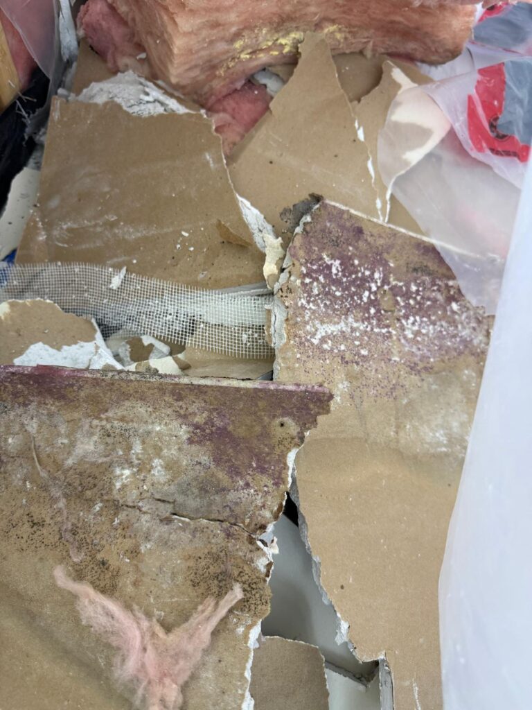 3 Exterior Water damage causing mold - during removal process photo