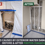 Mold Caused by Exterior Water Damage – Before and After Photos (Toronto Project)