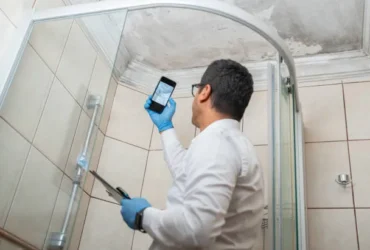Mold Inspection vs Mold Testing Mold Inspection vs Mold Testing: What Do You Actually Need?