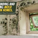 Why Mold Is Common in Toronto Climate