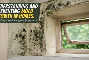 Why Mold Is Common in Toronto Climate Why Mold Is Common in Toronto Climate