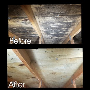 before after mold removal images