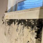 Mold After Window Leakage toronto removal