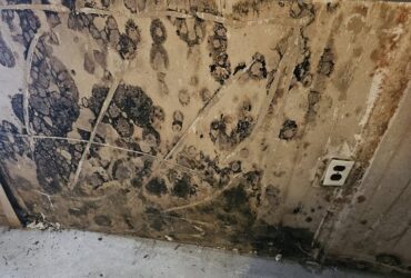 Mold Growth From Plumbing Water Leaks Inside Walls [GUIDE]