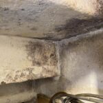 Mold Removal Under Stairs & Enclosed Storage Areas in Basement Toronto