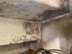 Mold Removal Under Stairs & Enclosed Storage Areas in Basement Toronto