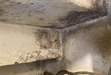 Mold Removal Under Stairs Mold Removal Under Stairs & Enclosed Storage Areas in Basement Toronto