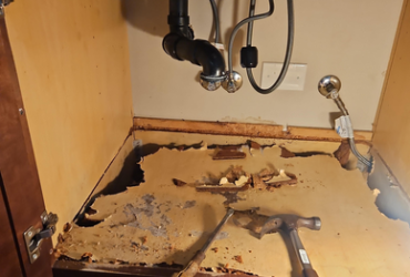 mold-in-cabinetry-what-would-you-guys-do-and-what-can-be Mold Under Bathroom Vanity