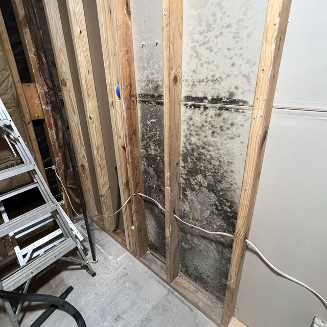 renovating-a-bath-and-discovered-mold-in-the-wall-Mold Behind Finished Basement Walls