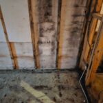view-basement-room-that-has-Mold in Basement Walls