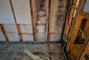 Inspector checking a finished basement wall for hidden moisture and mold in Toronto view-basement-room-that-has-Mold in Basement Walls