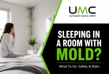 Sleeping in a Room With Mold Sleeping in a Room With Mold