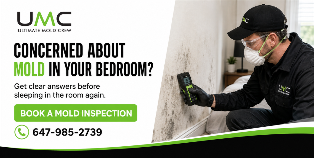 bedroom With Mold